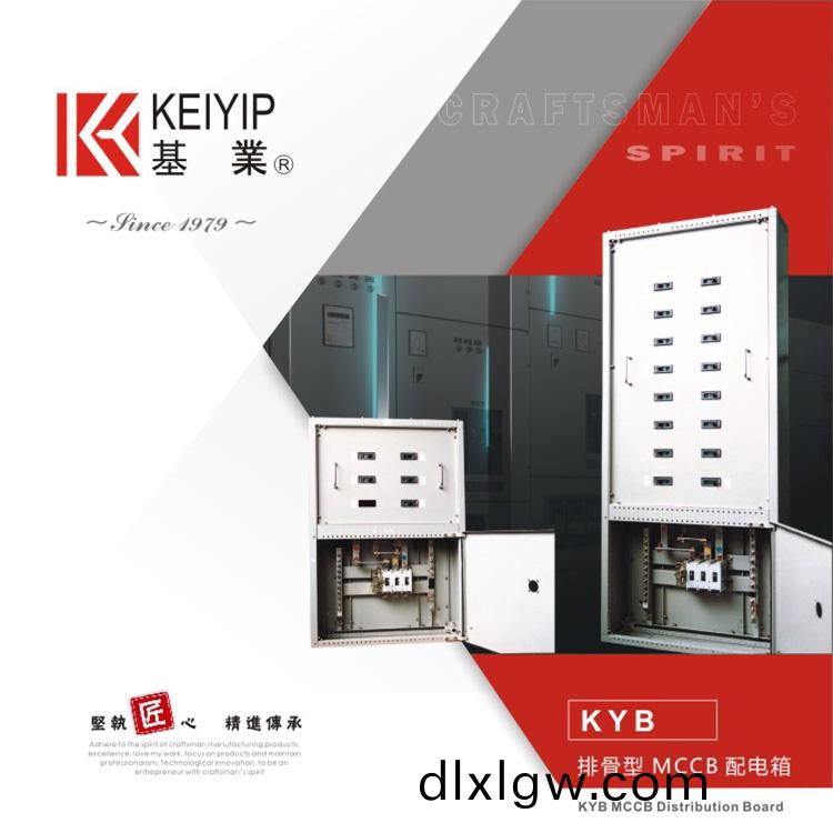 KYB排(pai)骨(gu)型(xing)MCCB配(pei)電箱(xiang)