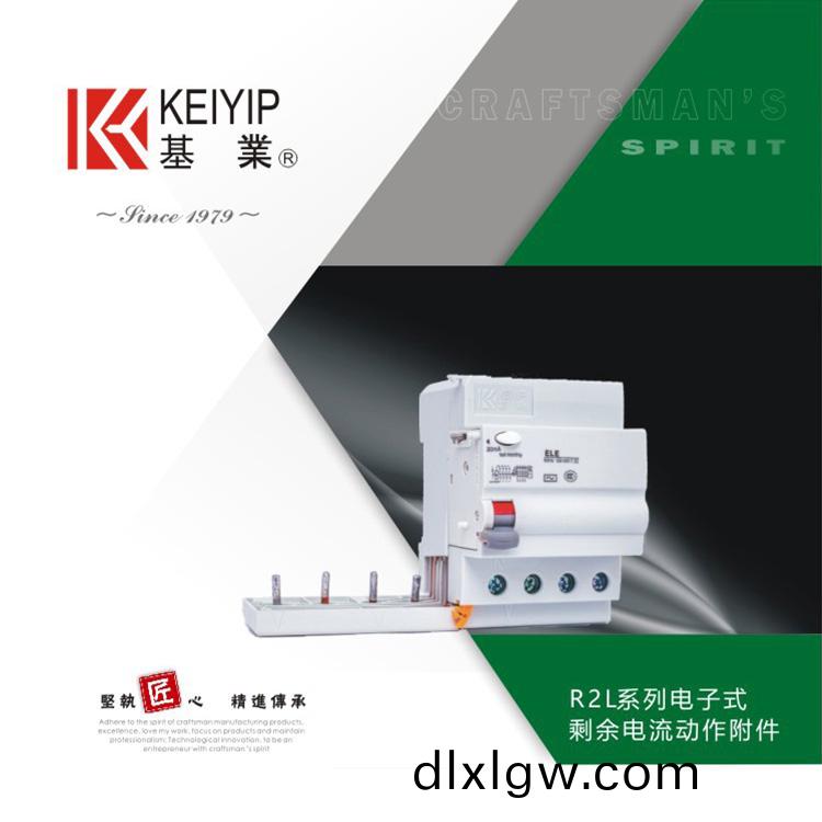 R2L電子(zi)式(shi)賸餘電(dian)流(liu)動(dong)作坿(fu)件